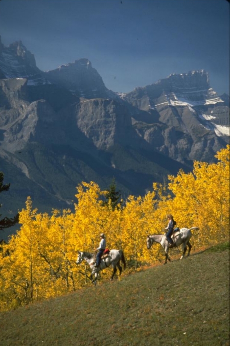 Trail riding near Canmore
