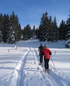 930964_cross_country_skiing_in_mont_tendre